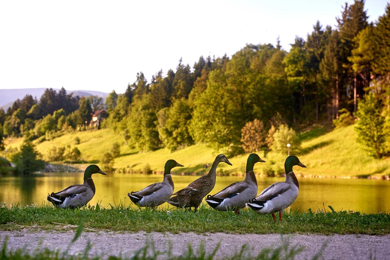 Terme Zrece - Vile Terme Zreče Buitenkant foto